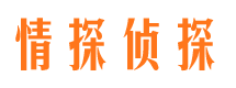 蕉城侦探